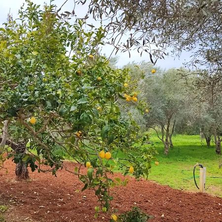 Casa Vacanze Da Nonna Mela Alghero Eksteriør billede